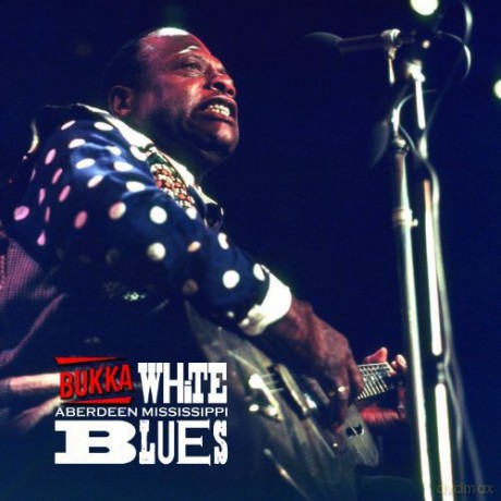 Bukka White: Aberdeen Mississippi Blues [Winyl]