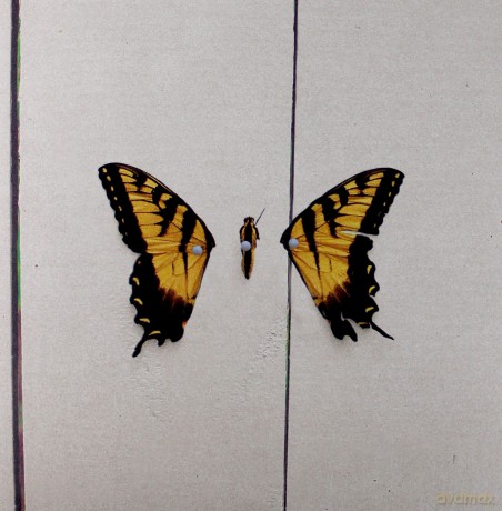 Paramore: Brand New Eyes [Winyl]