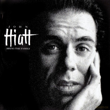 John Hiatt: Bring The Family [Winyl]