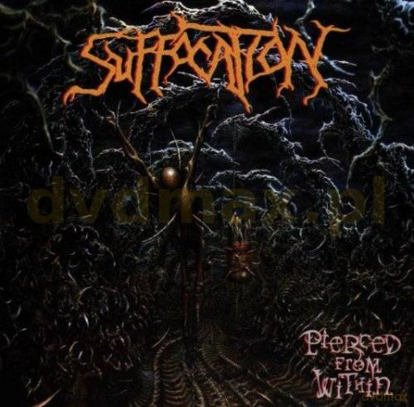 Suffocation: Pierced From Within [CD]