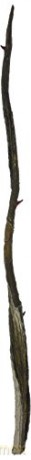 Harry Potter: Gellert Grindelwald's Character Wand