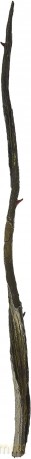 Harry Potter: Gellert Grindelwald's Character Wand