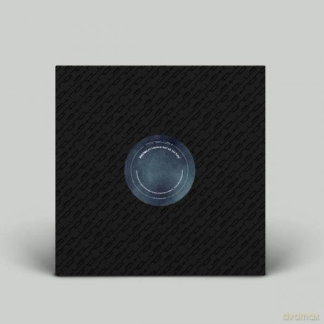 Ribe: Harmonic Rain [Winyl]