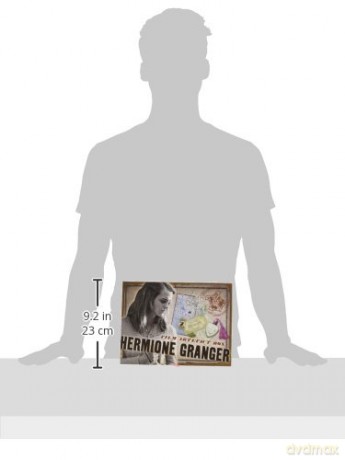 Harry Potter: Hermiones Artefact Box