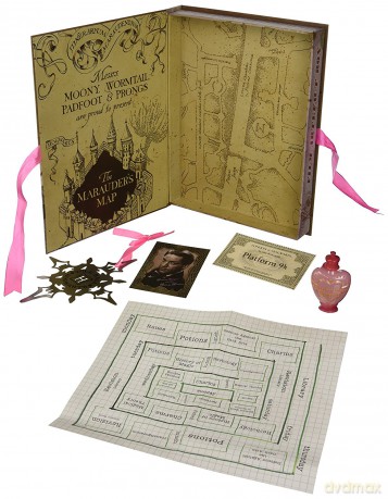Harry Potter: Hermiones Artefact Box