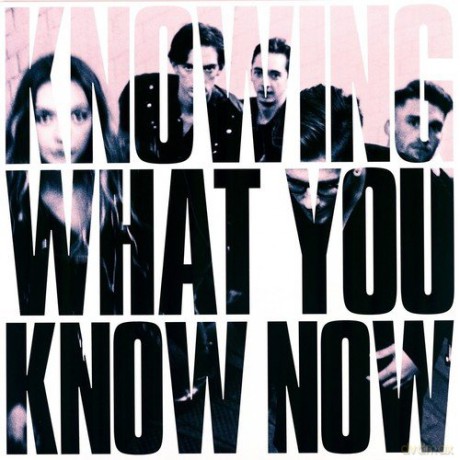 Marmozets: Knowing What You Know Now [Winyl]
