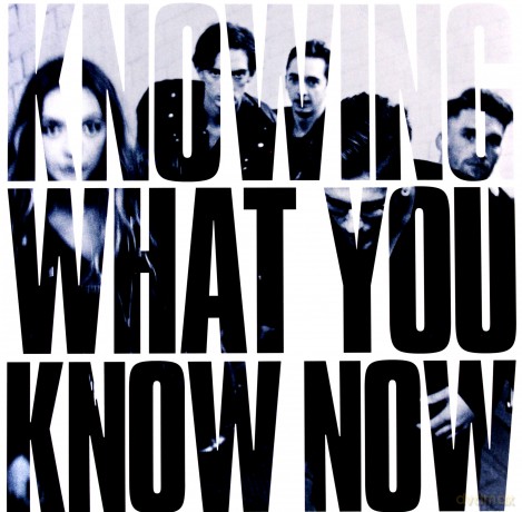 Marmozets: Knowing What You Know Now [Winyl]