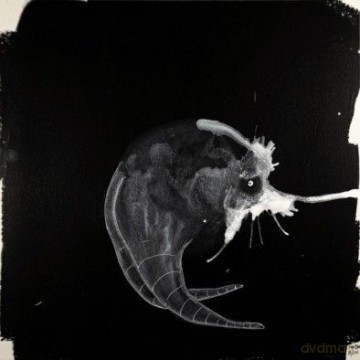 Sigur Rals: Route One [Winyl]