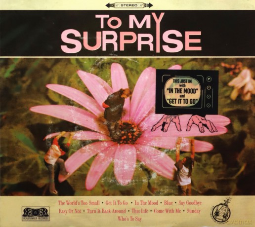 To My Surprise: To My Surprise [CD]