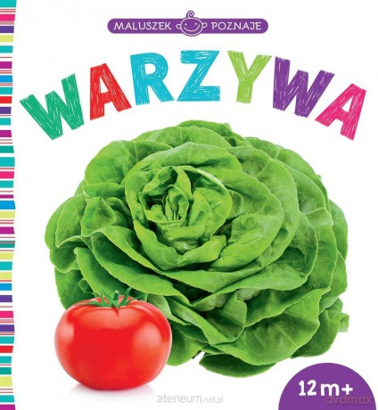 Maluszek poznaje. Warzywa [KSIĄŻKA]