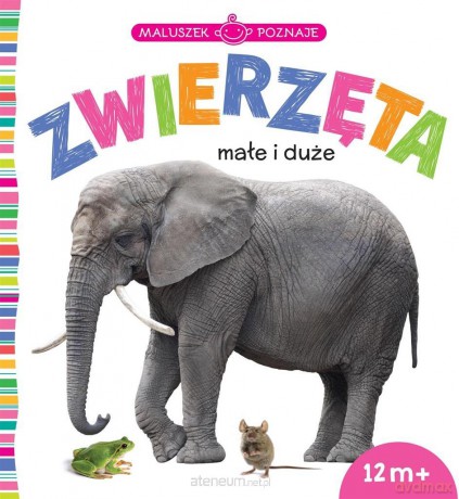 Maluszek poznaje. Zwierzęta małe i duże [KSIĄŻKA]