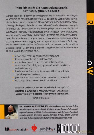 Mówię Ci Wstań! Przyjmij moc uzdrawiania - Michał Olszewski [KSIĄŻKA]