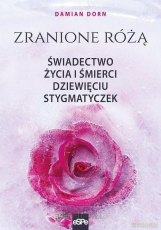 Zranione Różą - Damian Dorn [KSIĄŻKA]