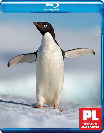 Penguins (Disney) [Blu-Ray]