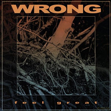 Wrong: Feel Great [CD]