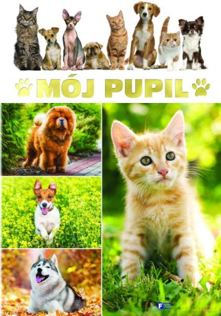 Mój pupil [KSIĄŻKA]