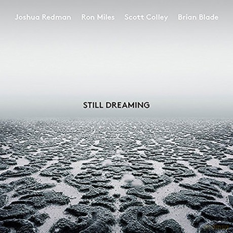 Joshua Redman: Still Dreaming [Winyl]