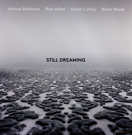 Joshua Redman: Still Dreaming [Winyl]