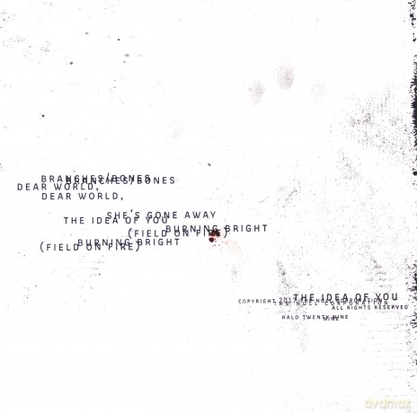 Nine Inch Nails: Not The Actual Events [Winyl]