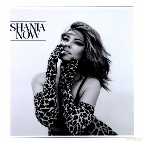 Shania Twain: Now [CD]