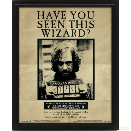 Harry Potter: Potter Sirius Wall Art