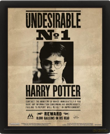 Harry Potter: Potter Sirius Wall Art