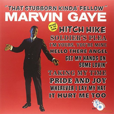 Marvin Gaye: That Stubborn Kinda Fellow [Winyl]