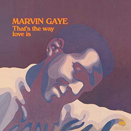 Marvin Gaye: Thats The Way Love Is [Winyl]