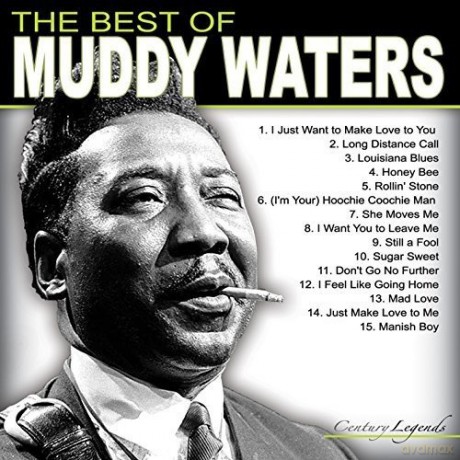 Muddy Waters: The Best Of Muddy Waters [Winyl]