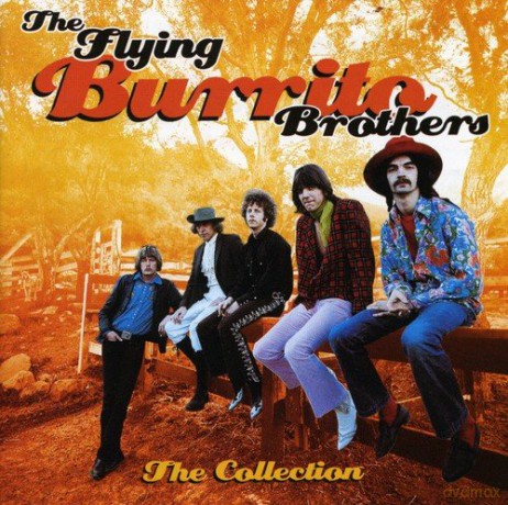 Flying Burrito Brothers: The Collection [CD]