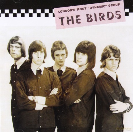 Birds: The Collectors Guide To Rare British [CD]