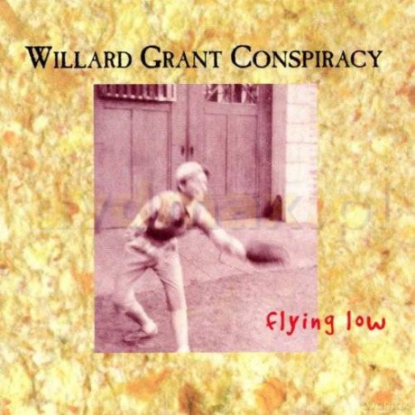 Willard Grant Conspiracy: Flying Low [CD]