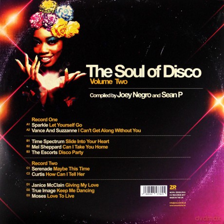 The Soul Of Disco [2xWinyl]