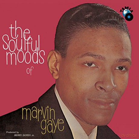 Marvin Gaye: The Soulful Moods Of [Winyl]