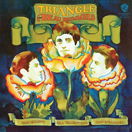 Beau Brummels: Triangle [Winyl]