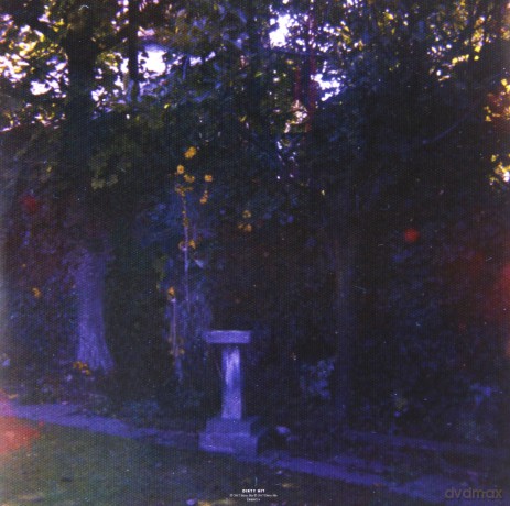 Wolf Alice: Visions Of A Life [2xWinyl]