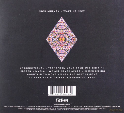 Nick Mulvey: Wake Up Now [CD]