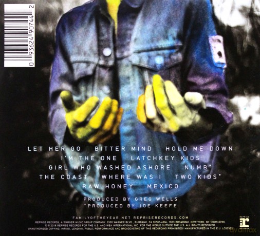 Family Of The Year: Goodbye Sunshine, Hello Nighttime [CD]