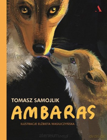 Ambaras - Tomasz Samojlik, Elżbieta Wasiuczyńska [KSIĄŻKA]