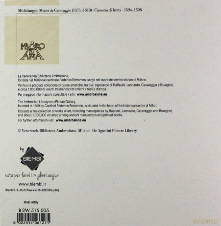 Karnet 16x16 B-2W 515 005 + koperta Owoce