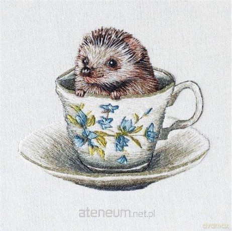 Karnet kwadrat z kopertą Baby Hedgehog