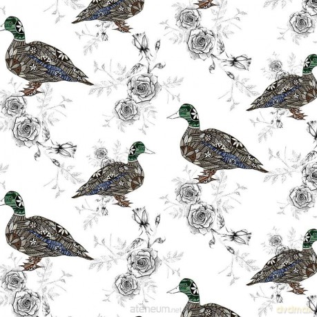 Karnet Swarovski kwadrat CL0403 Etniczne kaczki