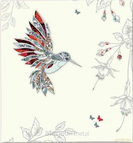 Karnet Swarovski kwadrat CL0509 Koliber