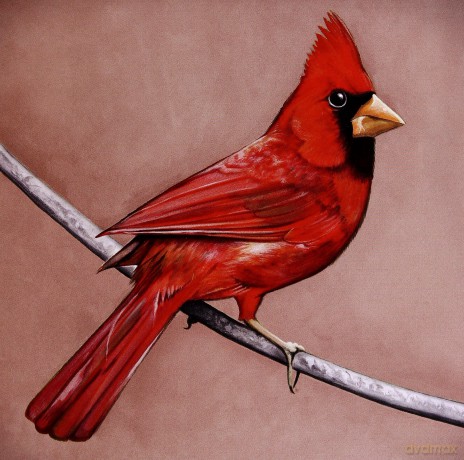 Alexisonfire: Old Crows Young Cardinals [CD]