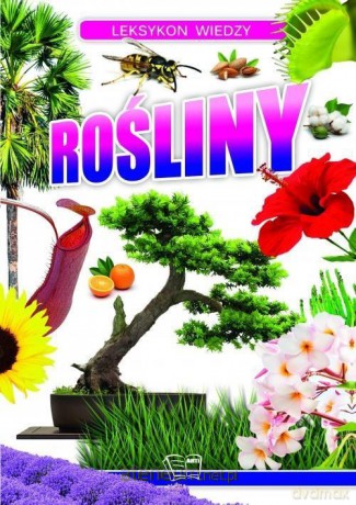 Leksykon wiedzy. Rośliny [KSIĄŻKA]