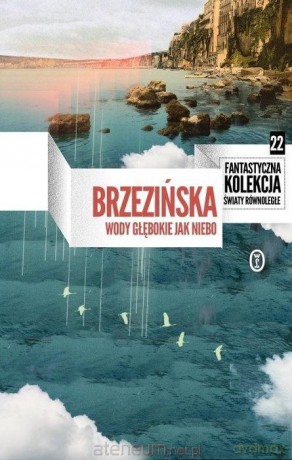 Wody głębokie jak niebo - Anna Brzezińska [KSIĄŻKA]