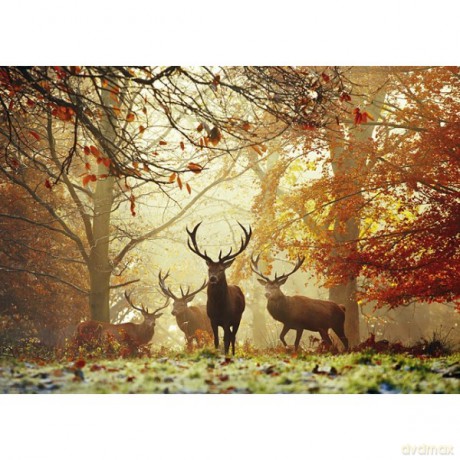 HEYE 1000 el. Jelenie [PUZZLE]