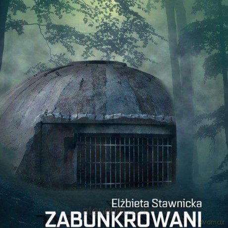 Zabunkrowani. O chorobach duszy - Elżbieta Stawnicka [KSIĄŻKA]