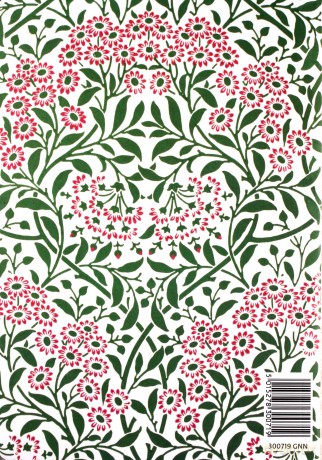 Zeszyt Mitchaelmas Daisy