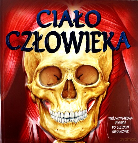 Ciało człowieka - Sue Harris [KSIĄŻKA]